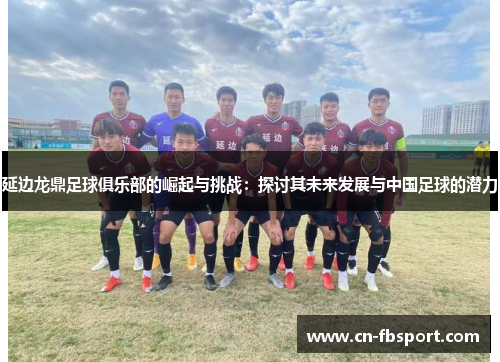 延边龙鼎足球俱乐部的崛起与挑战：探讨其未来发展与中国足球的潜力