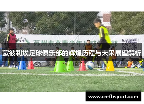 蒙彼利埃足球俱乐部的辉煌历程与未来展望解析