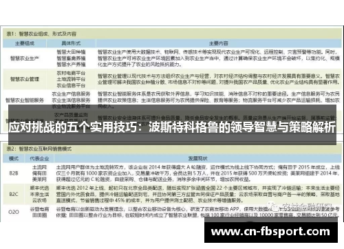 应对挑战的五个实用技巧：波斯特科格鲁的领导智慧与策略解析