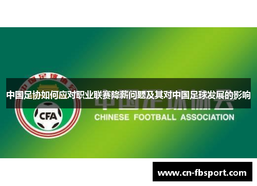 中国足协如何应对职业联赛降薪问题及其对中国足球发展的影响