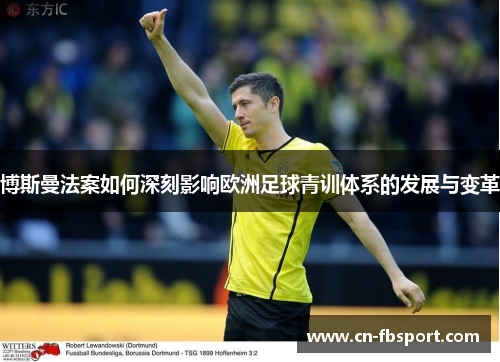 博斯曼法案如何深刻影响欧洲足球青训体系的发展与变革